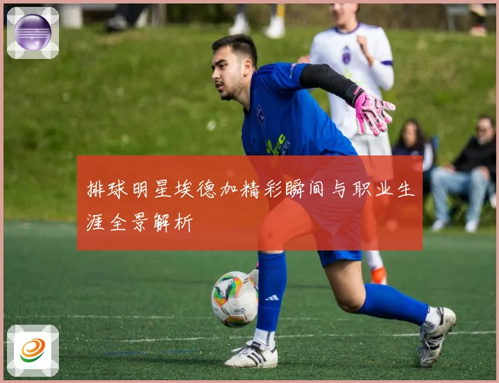 排球明星埃德加精彩瞬间与职业生涯全景解析