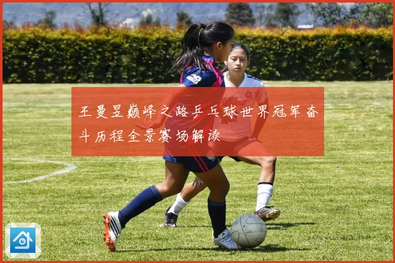 王曼昱巅峰之路乒乓球世界冠军奋斗历程全景赛场解读