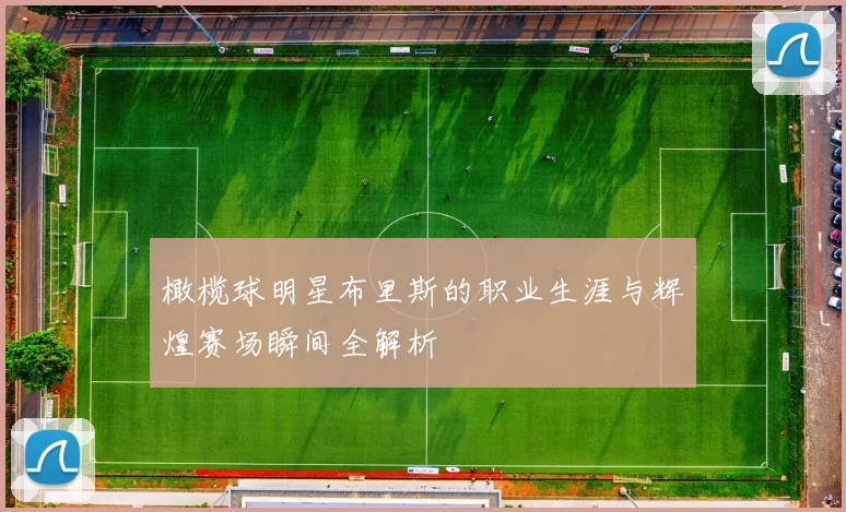 橄榄球明星布里斯的职业生涯与辉煌赛场瞬间全解析