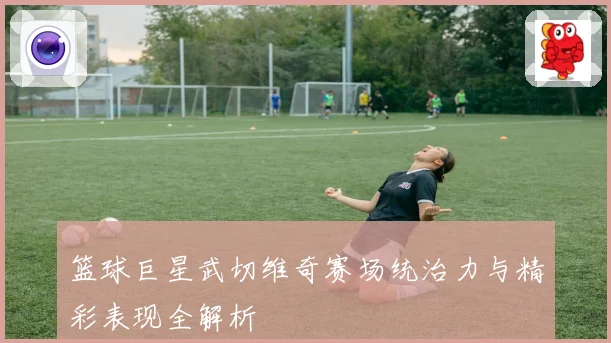 篮球巨星武切维奇赛场统治力与精彩表现全解析