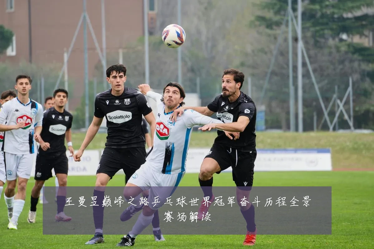 王曼昱巅峰之路乒乓球世界冠军奋斗历程全景赛场解读